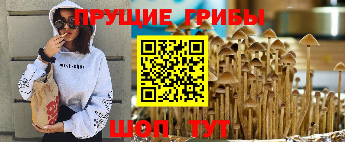Галлюциногенные грибы мухоморы  Вход с VPN  где можно купить наркотик  Новомосковск 